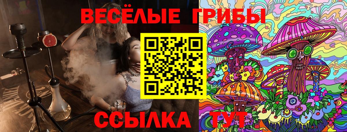 Коломна  Галлюциногенные грибы ЛСД  Вход с VPN  Галлюциногенные грибы Psilocybine cubensis 